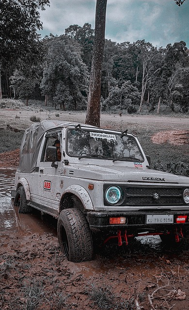 球队和个人 球队和个人