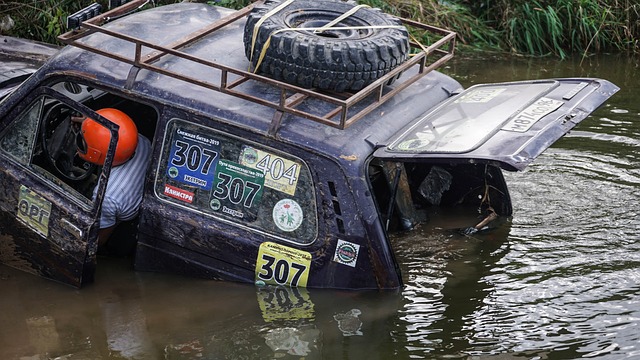 從卡西利亞 從卡西利亞