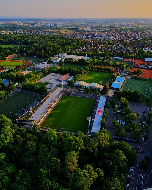 李明的表现 李明的表现