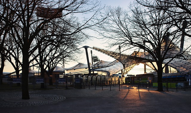 是拜仁引進 是拜仁引進