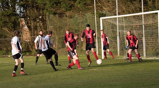 教练沉着冷 教练沉着冷